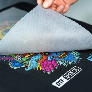 DTF on Fabrics: Cotton, Polyester, Nylon - Best Picks Image UYAQ0BVEQ3 300x300