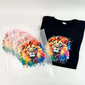DTF Transfers: Innovative Uses in Home Decor and Crafts Image X0LMNCP43H 300x300